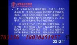 金英杰最新爆料视频,事件内幕全解析